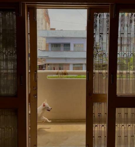 Hostal Sonika?s Nest