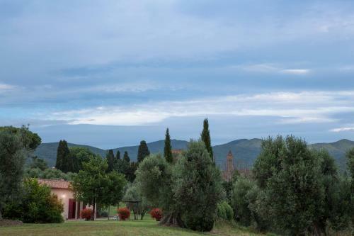 Agroturismo Castello Di Bolgheri