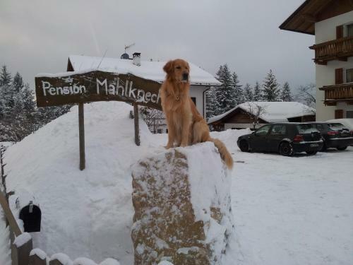 Hostal Pension Villa Mahlknecht
