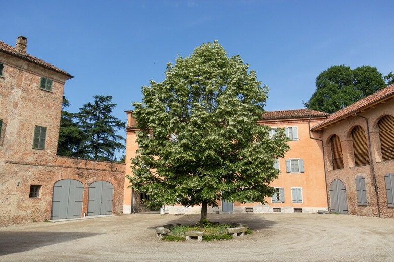 Bed & Breakfast Locanda Marchesi Alfieri
