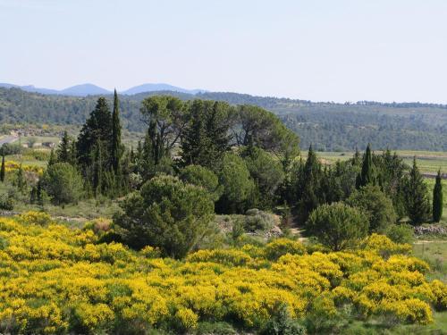 Apartamento Les Romarins