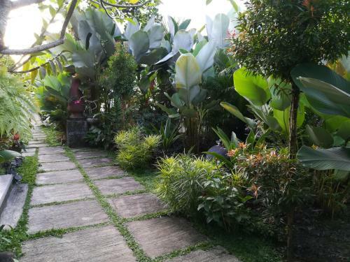Posada Shiva House