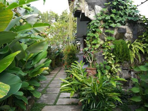 Posada Shiva House