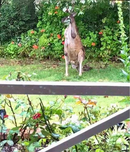 Serenity House Bed And Breakfast