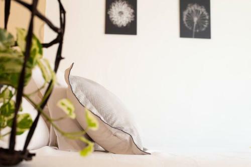 Apartamento Casa Con Alberca En Xochitepec Morelos