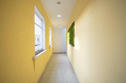 Apartamento Hostal Camila