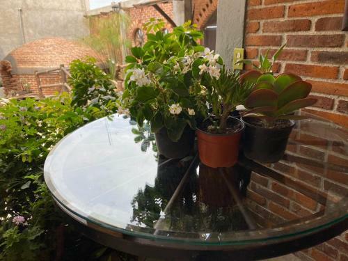 Bed & Breakfast Hotel Spa Las Carretas