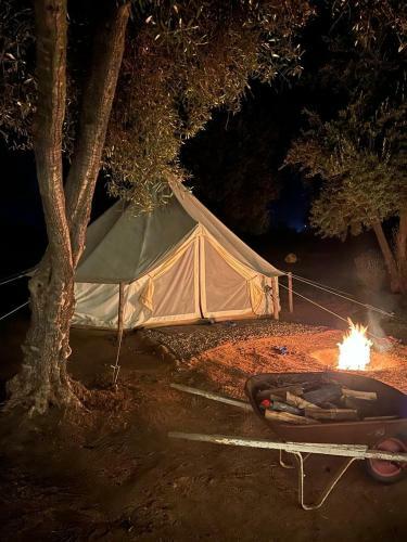 Guadalupe Valle Glamping