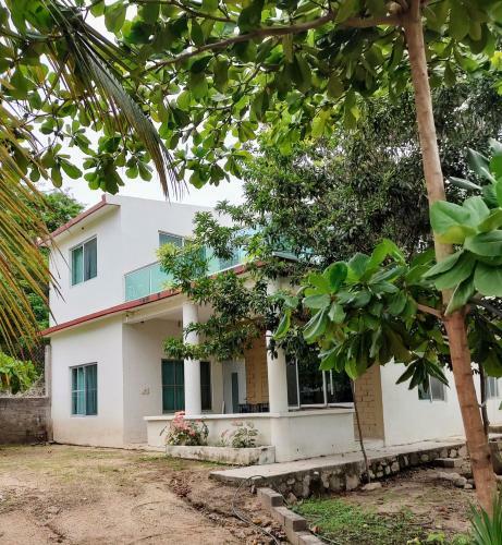Bed & Breakfast Ola Perfecta Big House