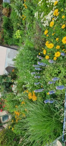 Apartments N�he Red Bull Ring