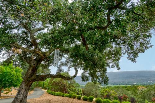 Great Oak Manor