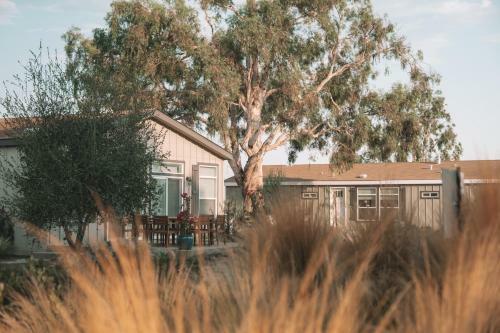 Beautiful Ranch House On Equestrian Property - R2