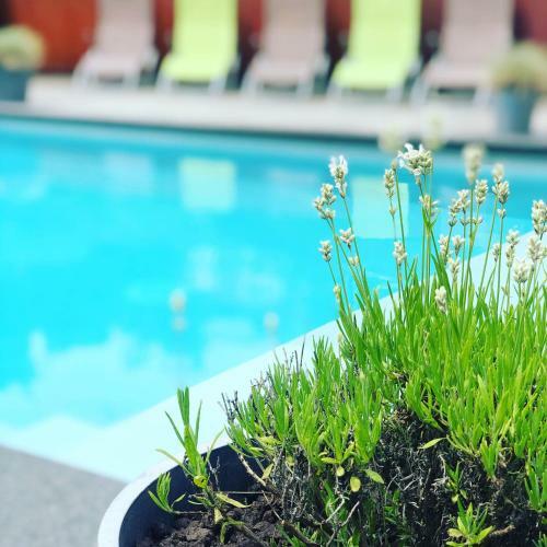 Juste � C�t�, Maison De Caract�re Avec Piscine