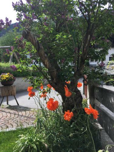 Hostal Arlenheim