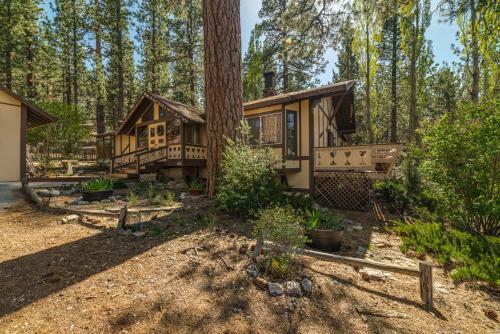 Find True Seclusion In Our Peaceful Chalet. 5 Acres, Trails, Trees & Spa