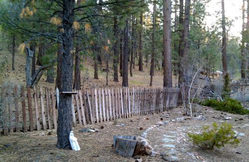Find True Seclusion In Our Peaceful Chalet. 5 Acres, Trails, Trees & Spa