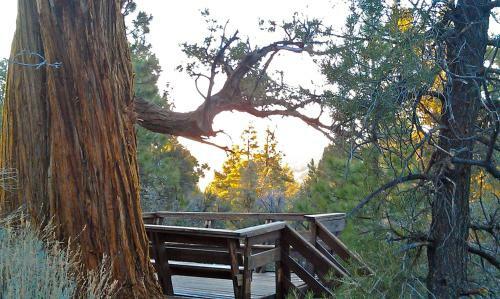 Find True Seclusion In Our Peaceful Chalet. 5 Acres, Trails, Trees & Spa
