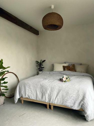 Pa� - Boutique Home