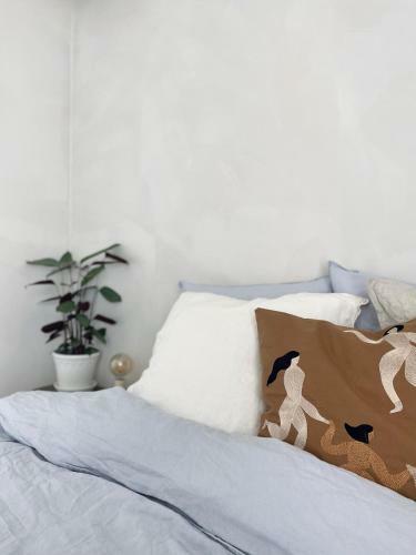 Bed & Breakfast Pa� Boetiek Bnb