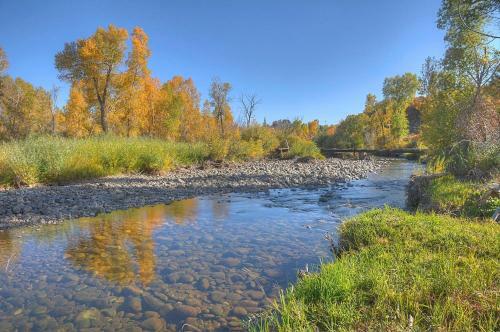 Pine River Model Cabin - 1 Br - Bayfield