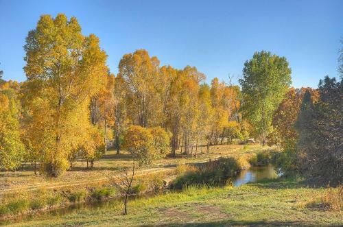 Pine River Model Cabin - 1 Br - Bayfield