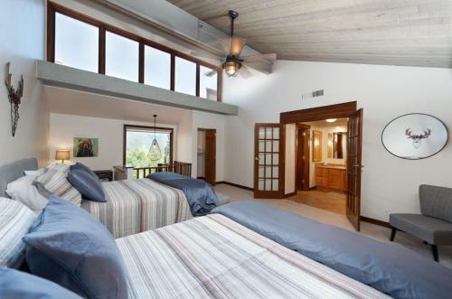 Tamarron Gambel Oak - 786