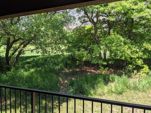Tamarron Gambel Oak - 777