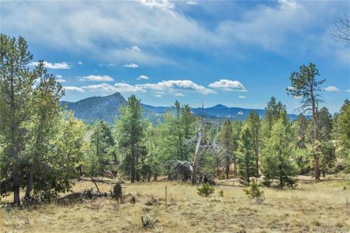 Black Bear Retreat Lodge 3