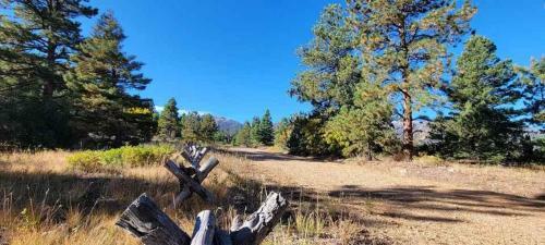 Black Bear Retreat Lodge 5