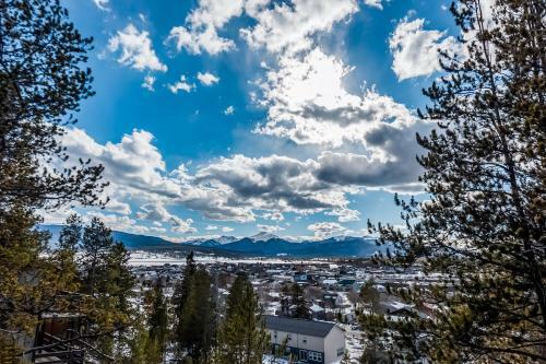 Snowcap Pines