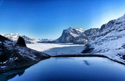 Lodge Bergrestaurant Kleine Scheidegg