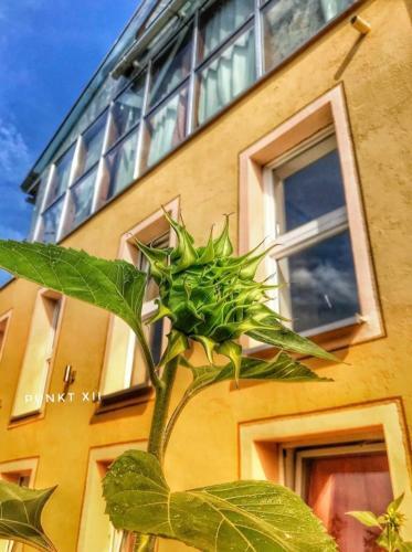 Apartamento Wohnung 6 Und 7