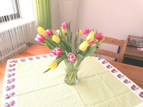Apartamento Ferienwohnung-alb