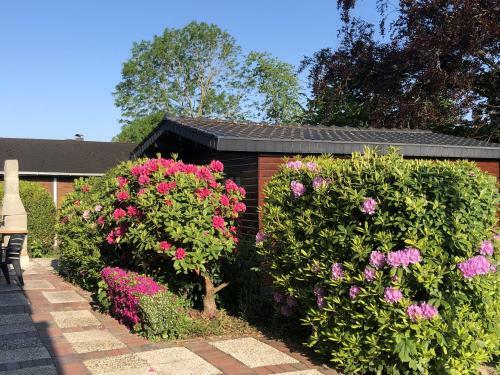 Apartamento Ferienwohnung Borkum