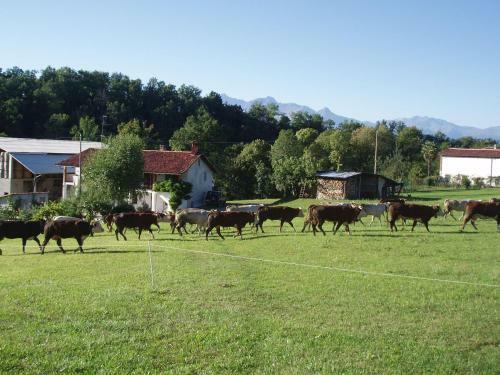 Bed & Breakfast La Pepanella