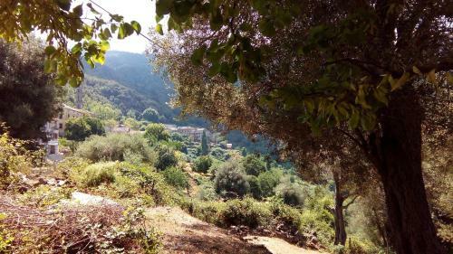 Bed & Breakfast La Marlotte