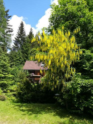 Apartamento Chata Sport Vyso?ina