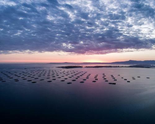 Charm Apartment