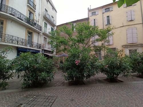 Apartamento Bel Appartement Plein Centre Historique