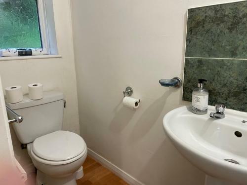 Seaside Apartments, Combe Martin