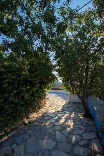 Secret Garden, A Little Paradise Of Tranquility.