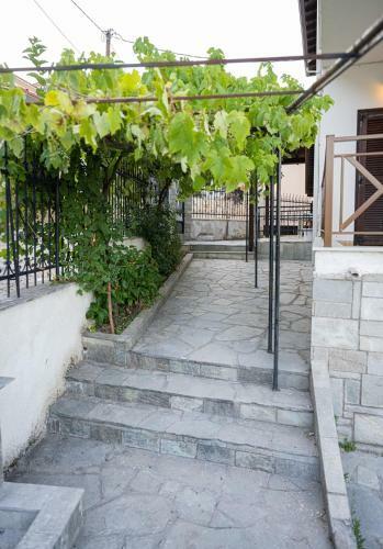 Este Luxury Apartments