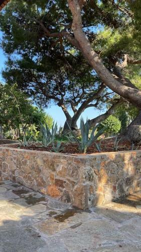 Villa Agave