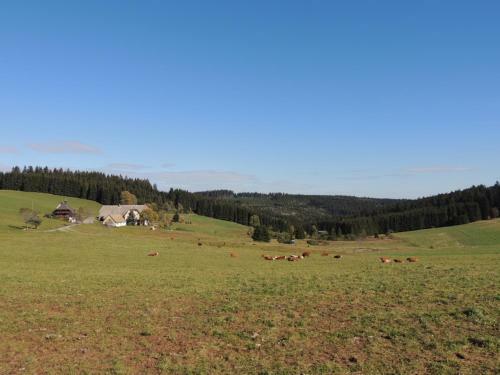 Hostal Pension Altvogtshof