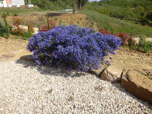 Villa Le Tournesol