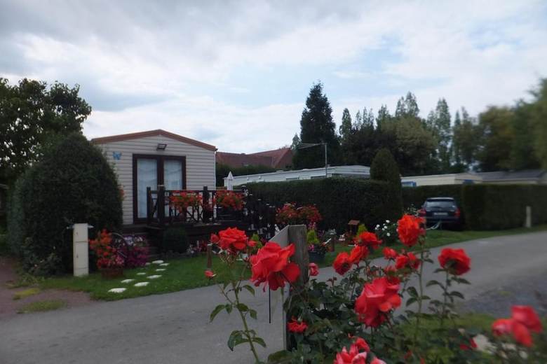 Le Camp Des Roses