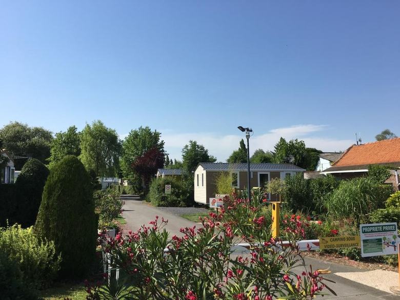 Le Camp Des Roses