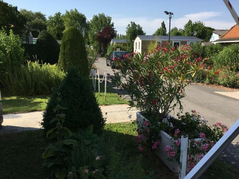 Le Camp Des Roses