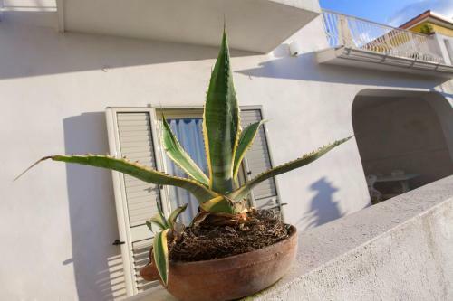 Villino Erminia - Bed And Breakfast & Residence