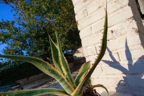 Villino Erminia - Bed And Breakfast & Residence